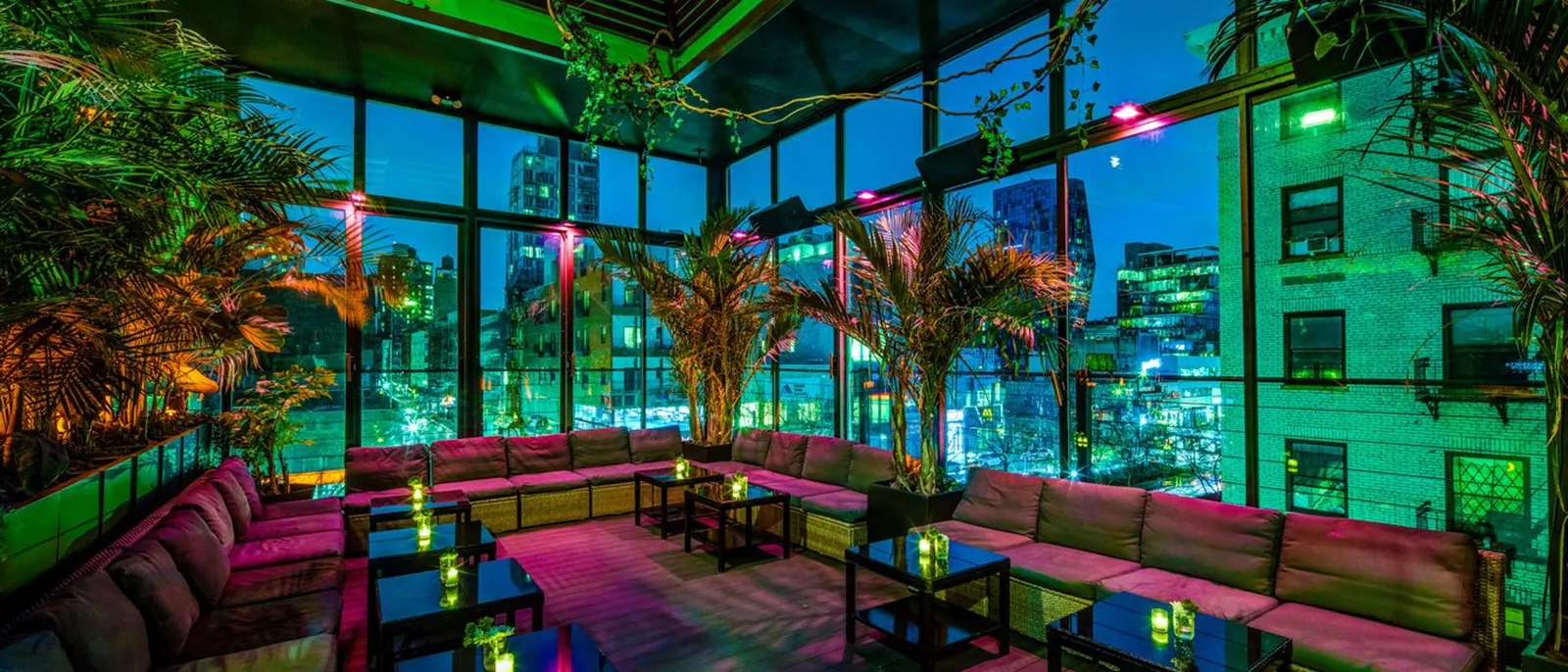 The rooftop at night glowing green and pink above the city