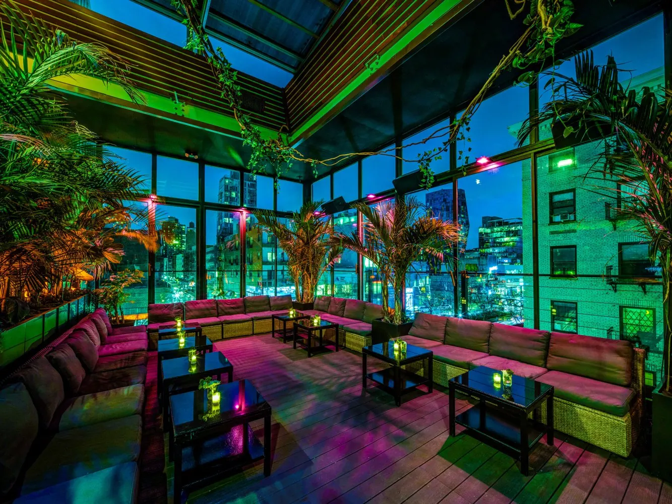 The rooftop lounge at night under the glass roof, glowing green and pink above the Lower East Side